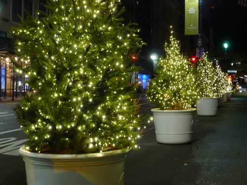 NYC_2012-11-25 05-33-24_P1070772